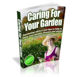 Caring For your Garden